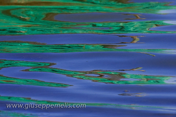 Green reflections (40D_12610_2rid).jpg